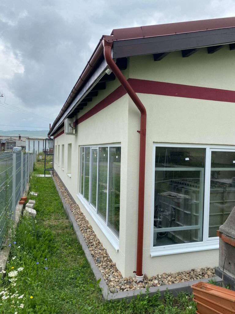 228895091_882450915691626_8762750155307443840_n-scaled