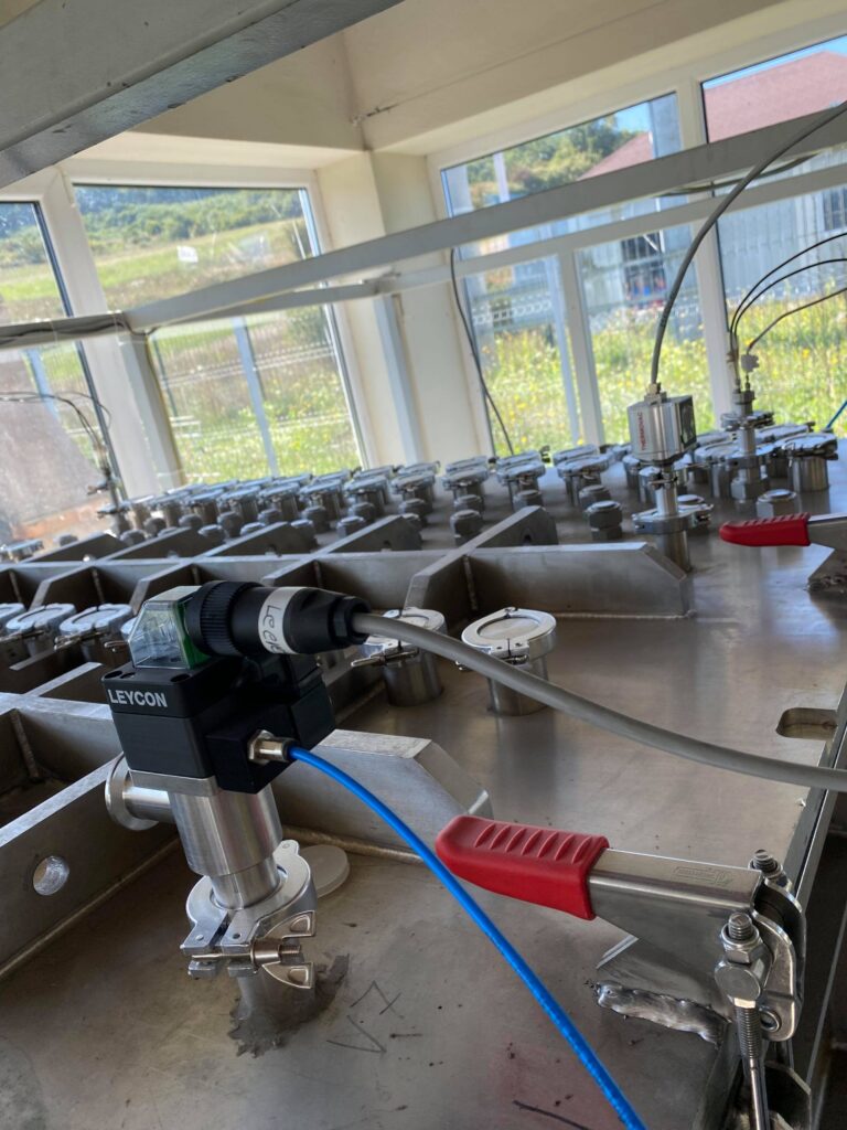 241451658_840887503461629_6982540173698296041_n-scaled