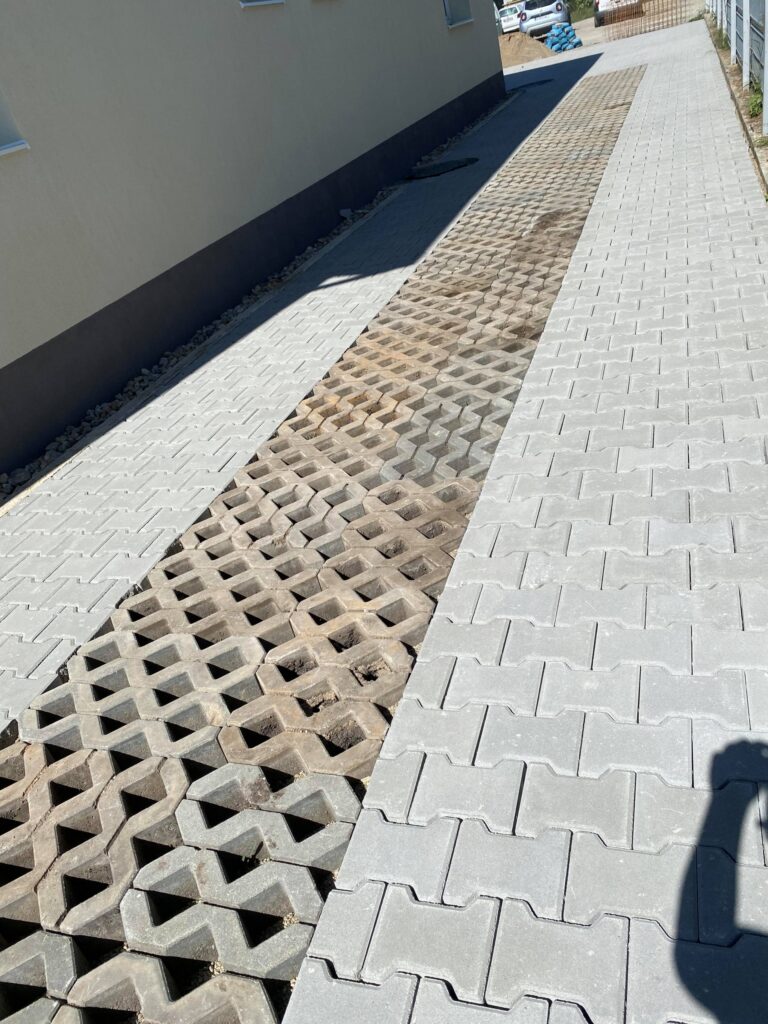 241466487_242943710935928_6485790500941770735_n-scaled